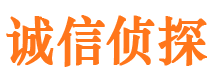 内乡捉小三公司